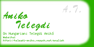 aniko telegdi business card